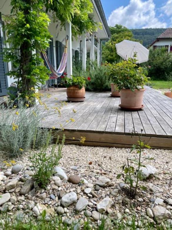 Holz im Garten (12).jpg